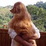 [프로듀스2] 아직도 자기가 아기인줄 아는 <b>대형견</b> 같은 연습생