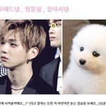 [프로듀스2] 데뷔하지도 않았는데 벌써부터 수많은 별명을 가지게...