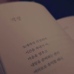 [조언부탁해] 친오빠가 자꾸 내 꿈을 <b>방해</b>한다