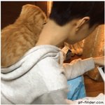 [프로듀스2] 이거 배진영같아서 <b>설레</b>뒤짐