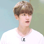 [백현] <b>무도</b> 배켜니 ~~❤