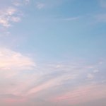 나 오늘 시험 좀 못 쳤는데