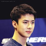 [세훈] 170610 스케쳐스 <b>행사</b> 고화질18