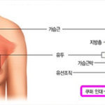 [10대의성] 운동 시작과 스포츠<b>브라</b>의 중요성