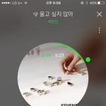 [세븐틴] ㅅㄷ 물어볼 게 있는데