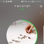 [세븐틴] 우리 가사로 국어공부가능ㅇㅇ