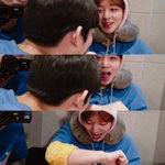 [프로듀스] 배진영 이 댕댕아