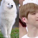 [프로듀스2] 각자 픽 앓는 글 하나씩 쓰구가..