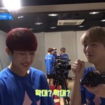 [프로듀스2] 참새랑 진영이 친한거 나만 이제 알음???