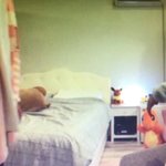 [방탄소년단] 석찌가 때렸다는 찌<b>미</b> <b>인형</b>