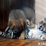 [19] ㅁㅊ 방금 <b>자다</b> 일어났는데....