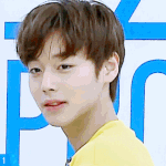 [프로듀스] 윙 팬들은 만약에 윙이 마룻<b>바닥</b>기획에