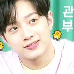 [프로듀스2] <b>라이관린</b> 픽해주세요 ㅠㅠ