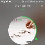 [세븐틴] <b>이번</b> <b>콘</b>에서 애들 울라나