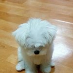 [댓글부탁해] 페북 나만 지금 안대냐 댓쫌