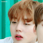[프로듀스] 얘두라 박지훈한테 보낼 <b>선물</b> <b>추천</b>좀