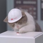 [프로듀스2] 헐 배진영 <b>리라</b>아트고야?