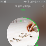 [세븐틴] ㅅㄷ?) 콘서트 질문