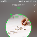 [세븐틴] <b>서양</b>수박티켓 동시로그인 해도 되는거 맞니?ㅜㅡㅜ