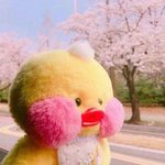 [댓글부탁해] 예쁘다는데 연락이없어