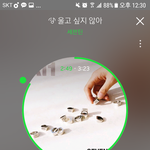 [세븐틴] 첫콘 혹시 <b>야자</b> 때문에 못가는 캐럿들 있어?!