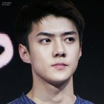 [세훈] 170610 스케쳐스 <b>행사</b> 고화질25