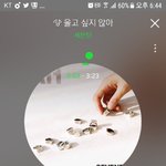 [세븐틴] ㅅㄷ나 <b>키</b> 150인데 스탠딩 가도될까.....?