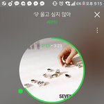 [세븐틴] 입장 <b>번호순</b>으로 하니..
