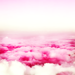 급식<b>당번</b> 하는데 모르는 선배가 쌍욕함