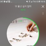 [세븐틴] ㅅㄷ)자리 좀 봐줄수 있어...?