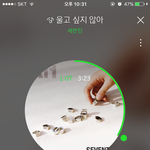 [세븐틴] ㅅㄷ 친언니 오늘 애들 봤다 ㅠㅠ