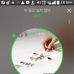 [세븐틴] ㅅㄷ g구역 3열이면