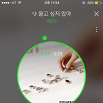 [세븐틴] ㅅㄷ진지하게 고민중이야