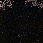 나 진짜 우리집에서 살기 싫어