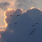 [프로듀스2] 딱 24시간 뒤면 데뷔<b>조</b> 발표되려나?