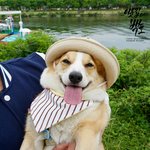 [EXO] <b>이웃집</b> ㅂㅎ아는 사람