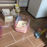 [방탈죄송] 햄스터죽인<b>사촌</b>동생 방관하는 이모