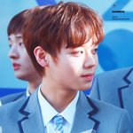 [프로듀스2] 애들한테 수고했단 말도 전하고 싶지만