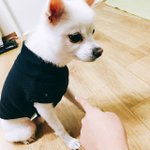 존, 너는 개자식이야