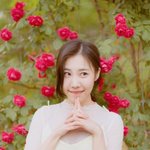 새로운 이름으로 컴백하는 가수 (feat.슈스케7)