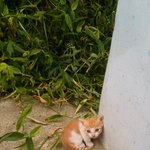 [이쁜<b>둥이들</b>] 나의사랑<b>둥이들</b>