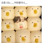 [프로듀스] 아니 진짜 우리 학교 프듀에 <b>미침</b>