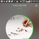 [세븐틴] ㅅㄷ ㅊㅍ질문 ㅠㅠㅠㅠ