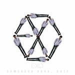 [EXO] 이 꽃은 <b>조화</b>야. 난 엑소가 <b>조화</b>~