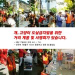 내일 개,고양이 도살금지법을 위한 거리 안국동 거리 계몽 및 서명회가...