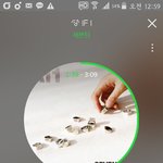 [세븐틴] <b>좌석</b> 골라줘ㅠㅠ