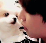 [방탄소년단] 개만도 못한 내인생