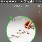 [세븐틴] ㅅㄷ 스탠딩 자리좀 봐줘ㅜㅜㅠㅠㅠ