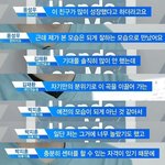 응 배진영 계속 까라