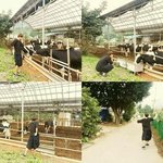 [방탄소년단] 거창 딸기<b>미소년</b>